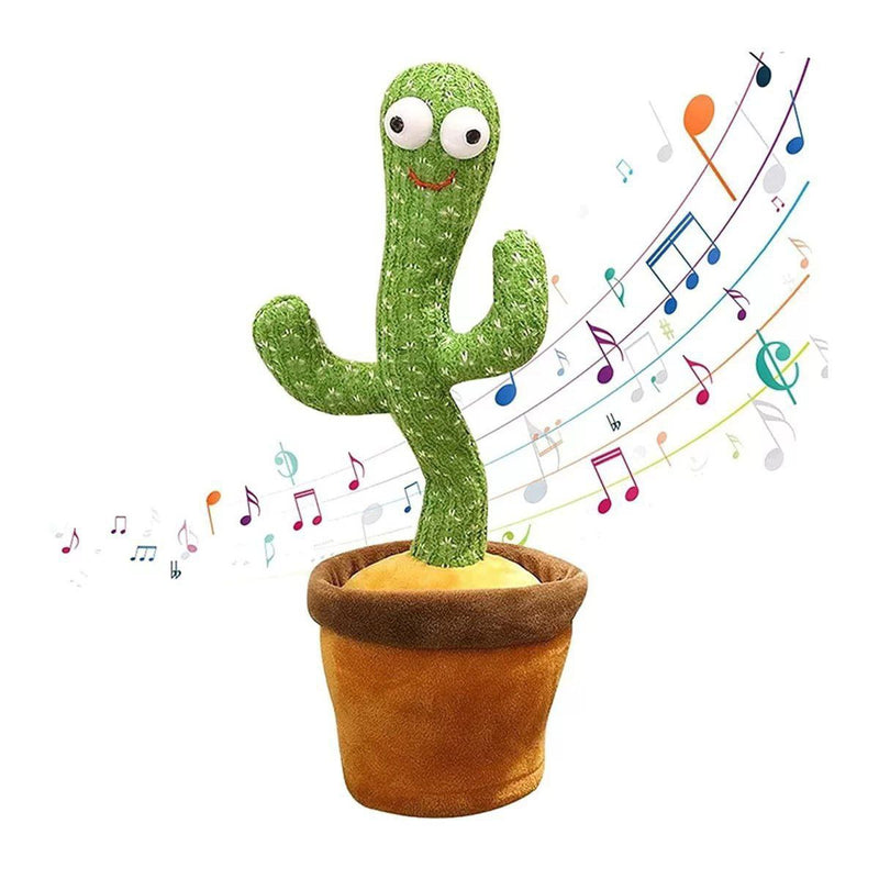 Cactus bailarín